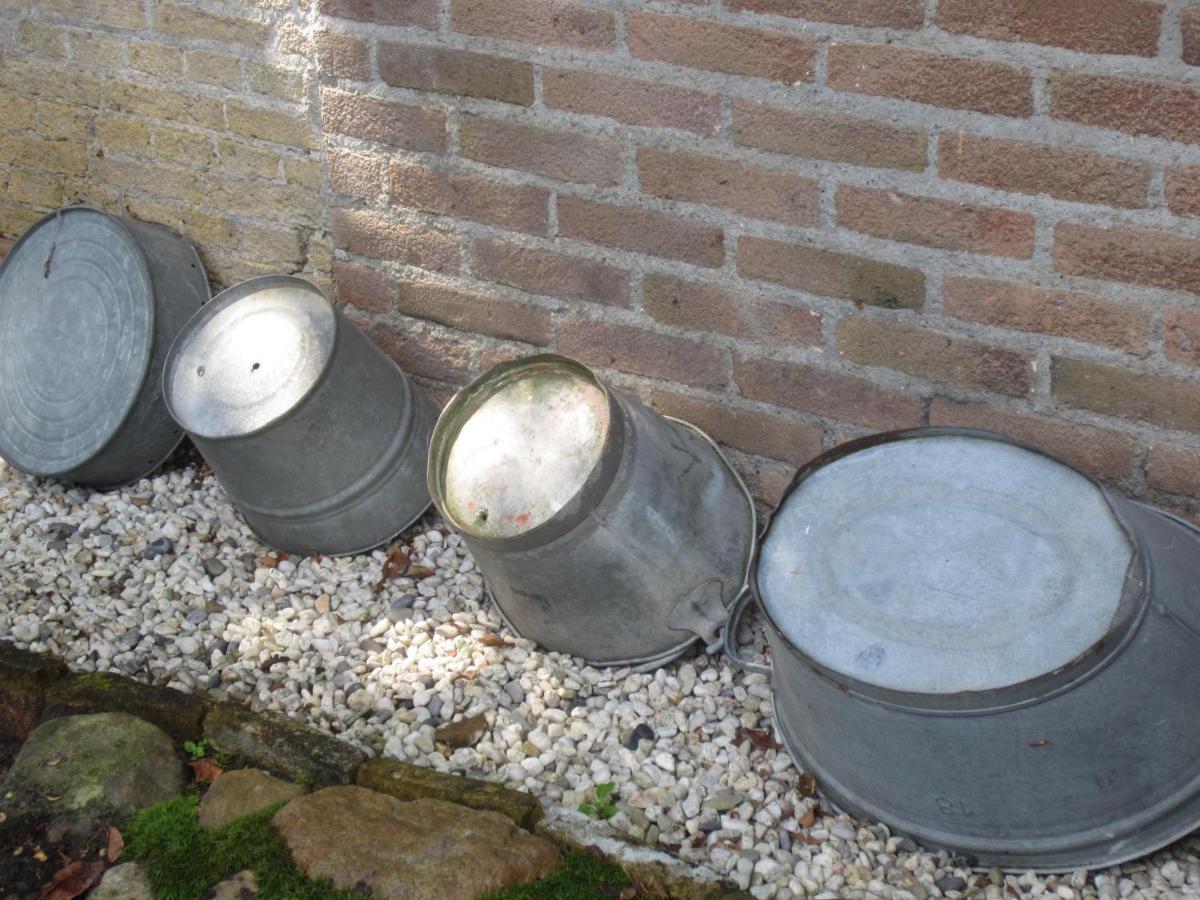 B&B De Gouden Vlo Donkerbroek Exterior photo